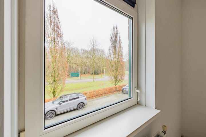 Foto 19 van Grasland 40