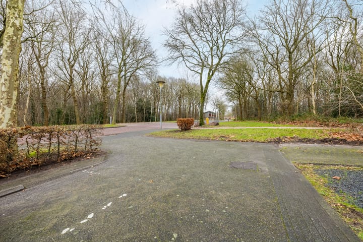 Foto 27 van Grasland 40