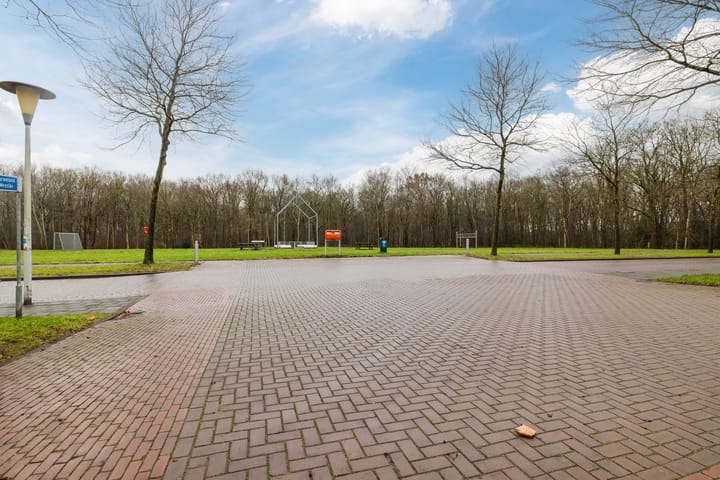 Foto 29 van Grasland 40