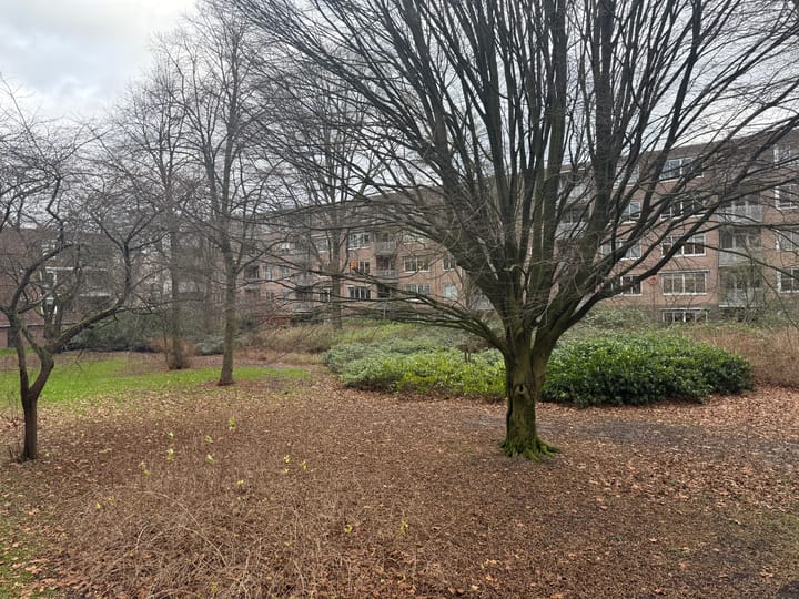 Foto 5 van Van Leijenberghlaan 415-1