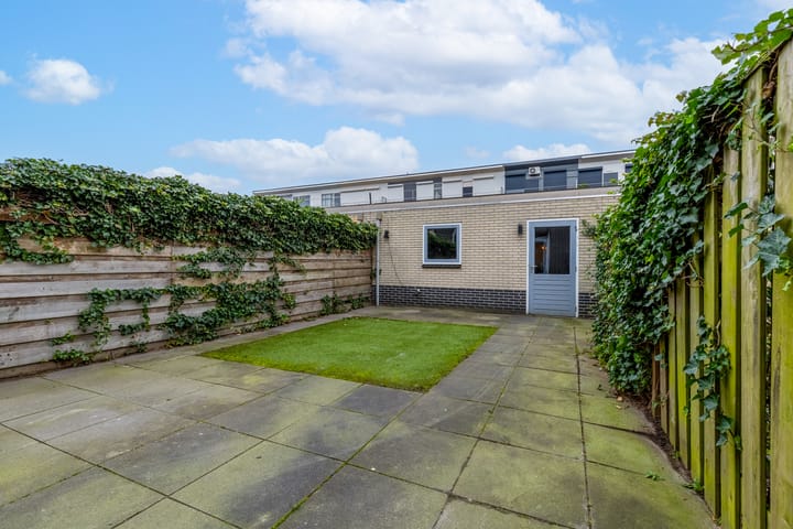 Foto 50 van Kleine Vos 15