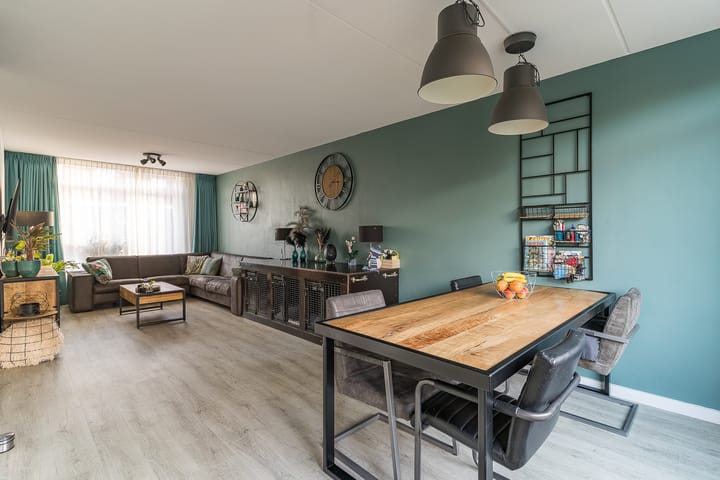 Foto 2 van Oorijzer 2