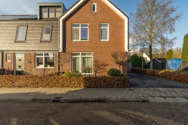 Foto 5 van Oorijzer 2