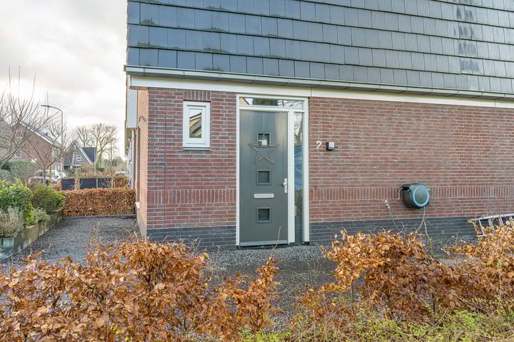 Foto 6 van Oorijzer 2