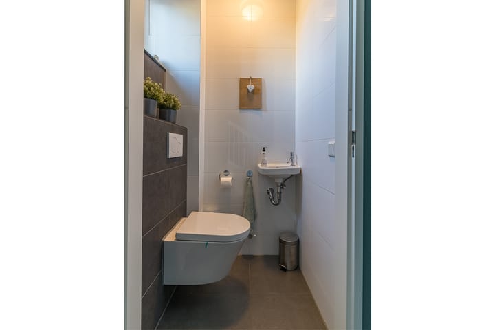 Foto 9 van Oorijzer 2