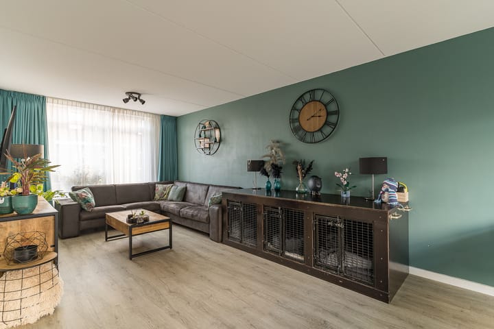 Foto 11 van Oorijzer 2