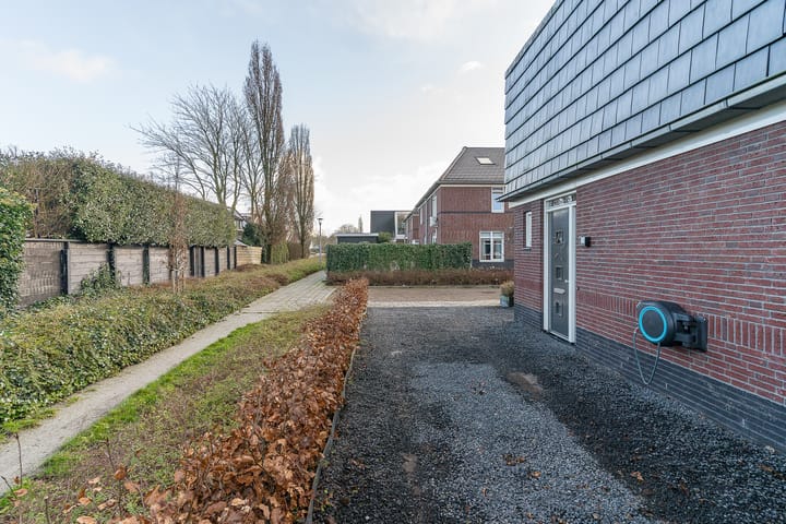 Foto 7 van Oorijzer 2