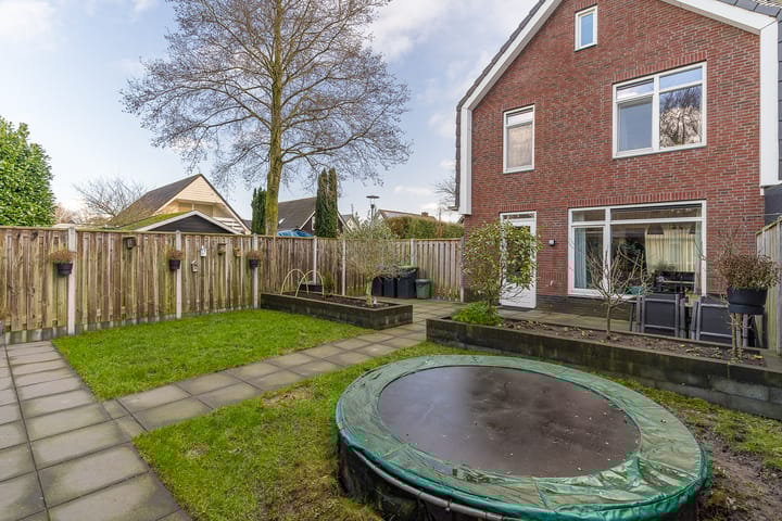 Foto 36 van Oorijzer 2