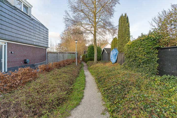 Foto 39 van Oorijzer 2