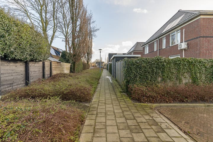 Foto 40 van Oorijzer 2