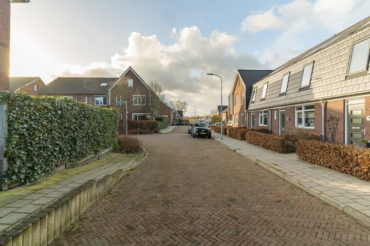 Foto 41 van Oorijzer 2