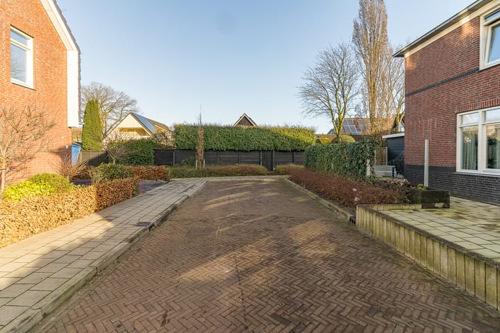 Foto 42 van Oorijzer 2