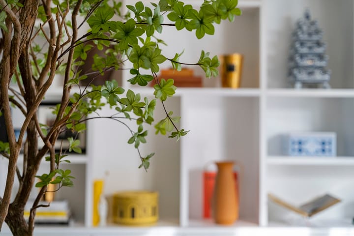 Foto 16 van Ruwenbergstraat 4