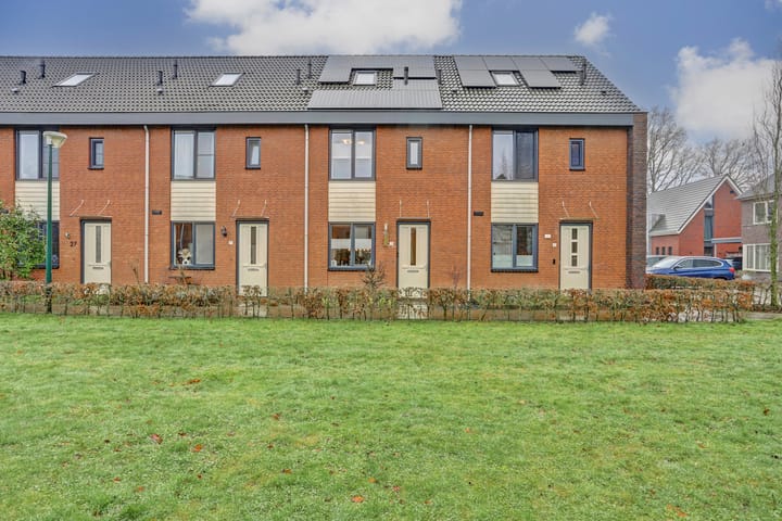 Foto 1 van Blaarkop 23