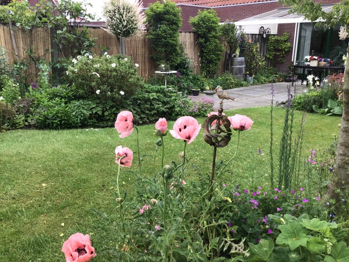 Photo 34 of Bewestenwege 26