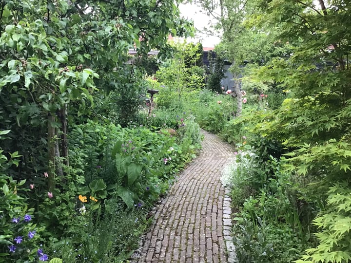 Photo 35 of Bewestenwege 26