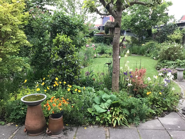 Photo 33 of Bewestenwege 26