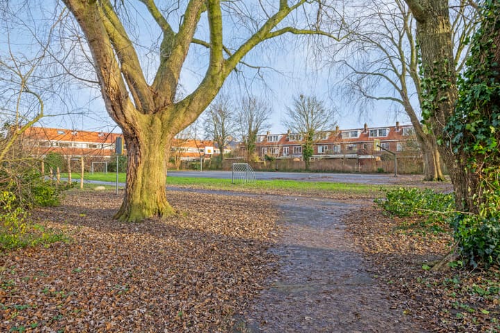 Foto 41 van Rijndijkstraat 29