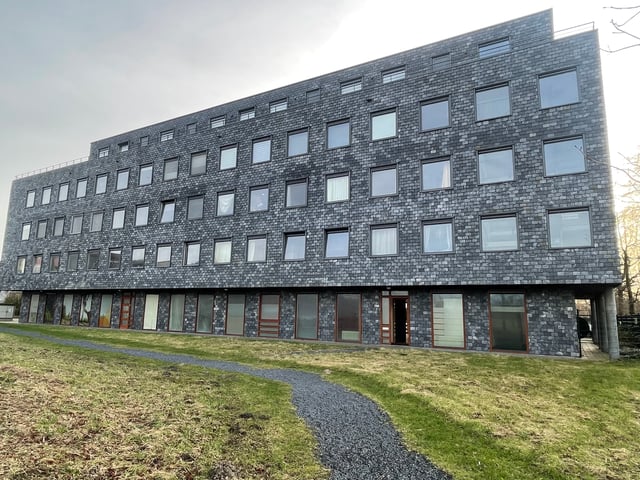 Rottumeroog 294
