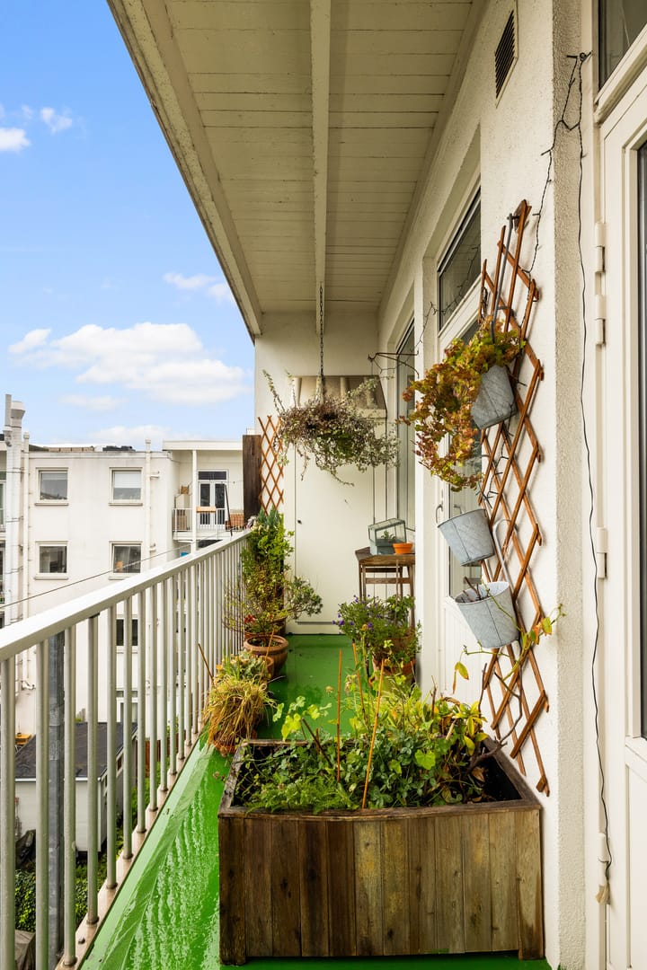 Foto 21 van Cabralstraat 33-3