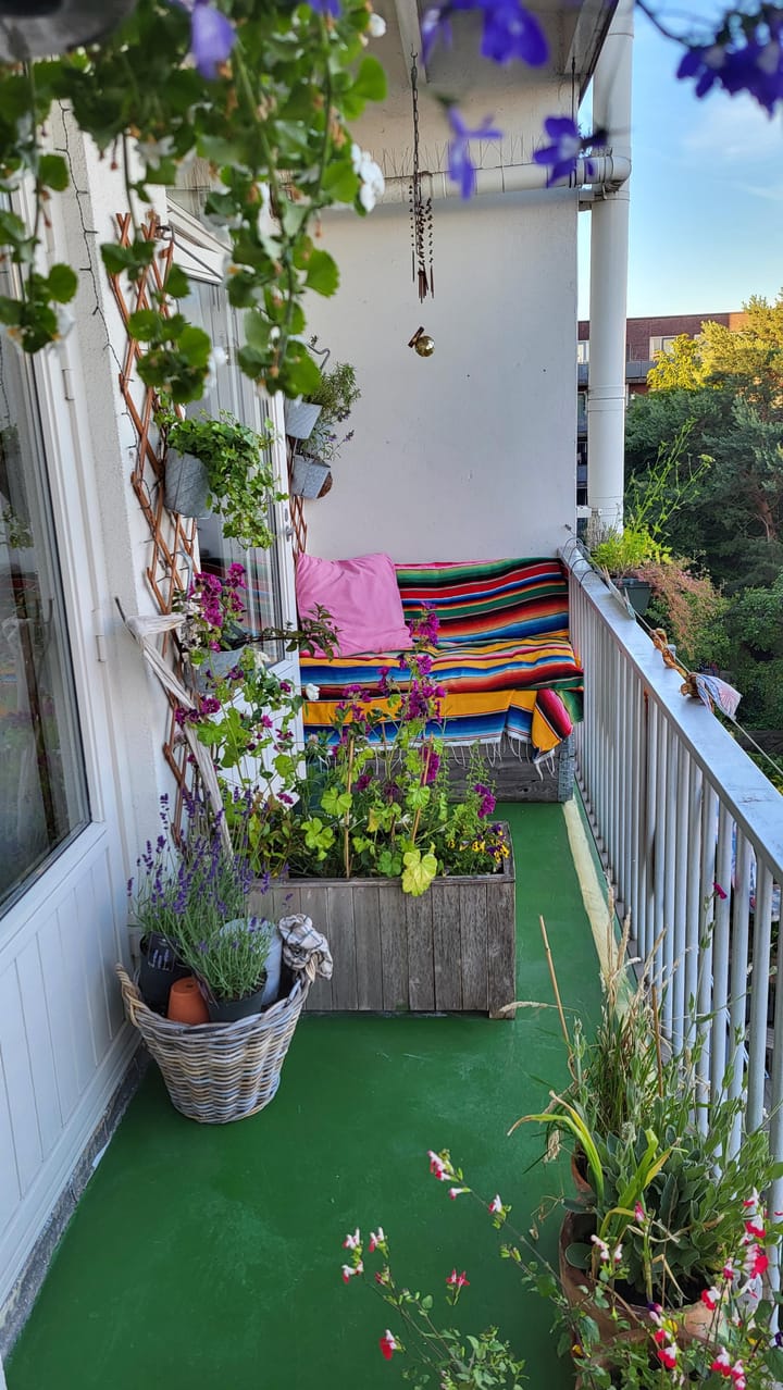 Foto 28 van Cabralstraat 33-3