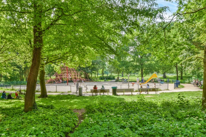 Foto 45 van Cabralstraat 33-3