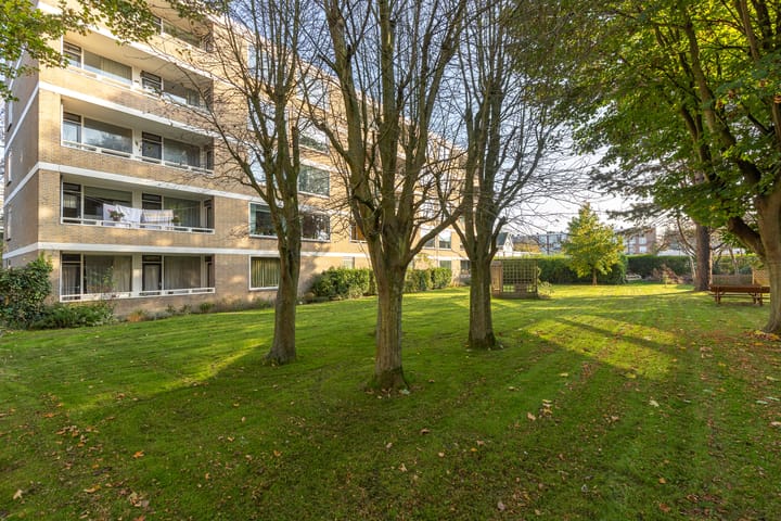 Foto 26 van Mozartstraat 251