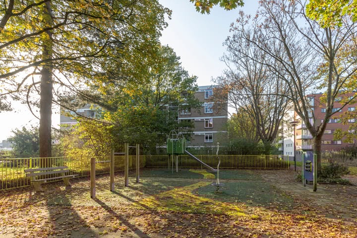 Foto 27 van Mozartstraat 251