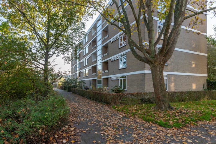 Foto 28 van Mozartstraat 251