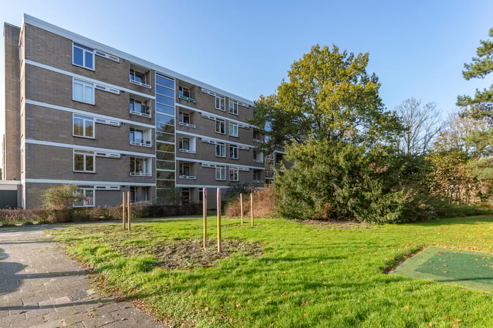 Foto 29 van Mozartstraat 251