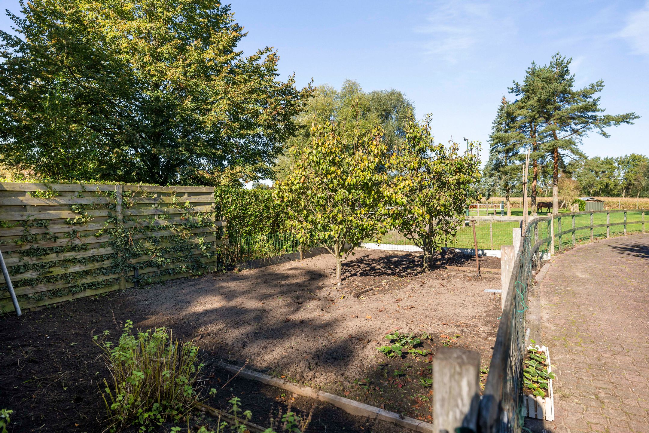 Foto 51 van Rijksstraatweg 46