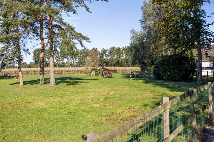 Bekijk foto 56 van Rijksstraatweg 46