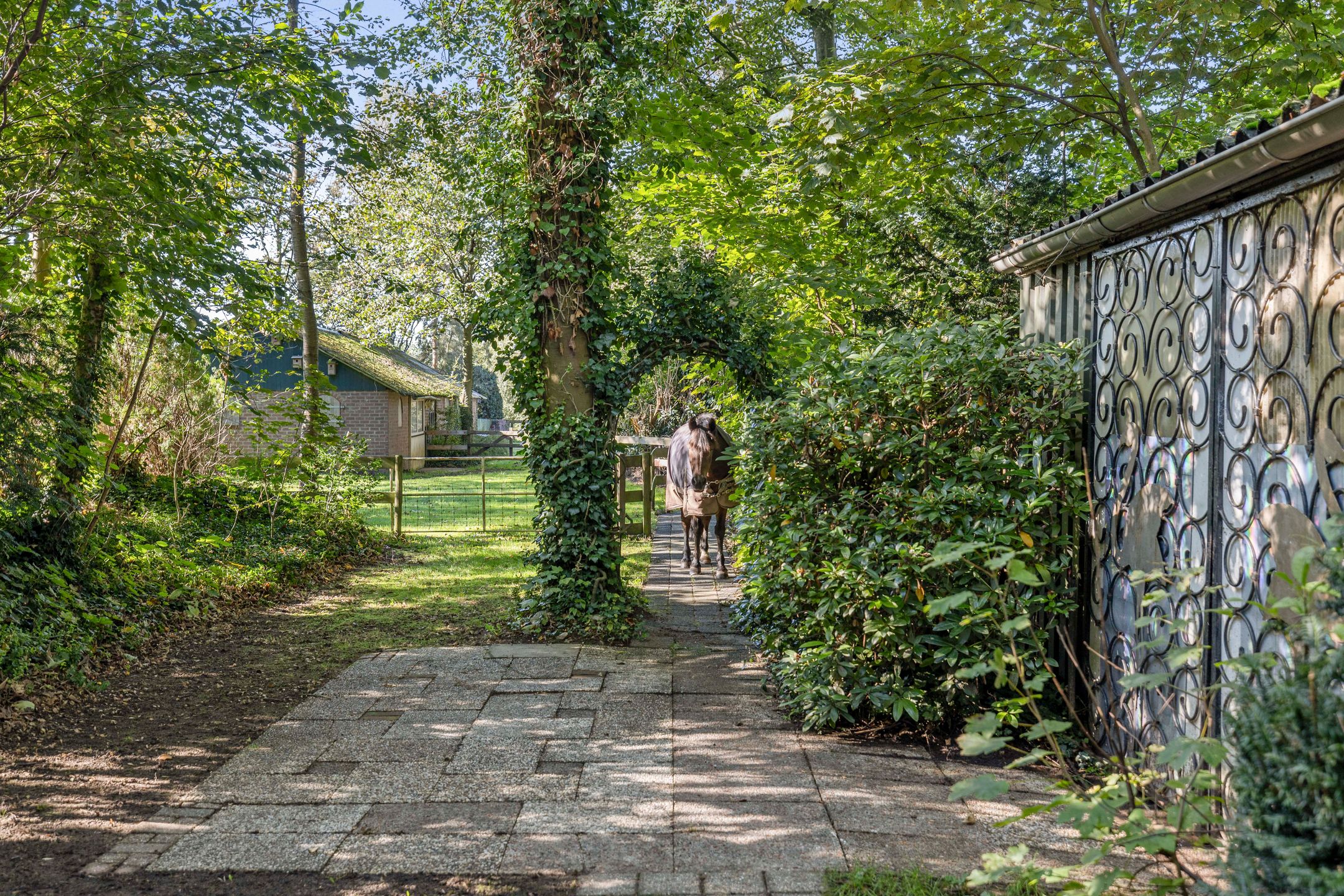 Foto 63 van Rijksstraatweg 46