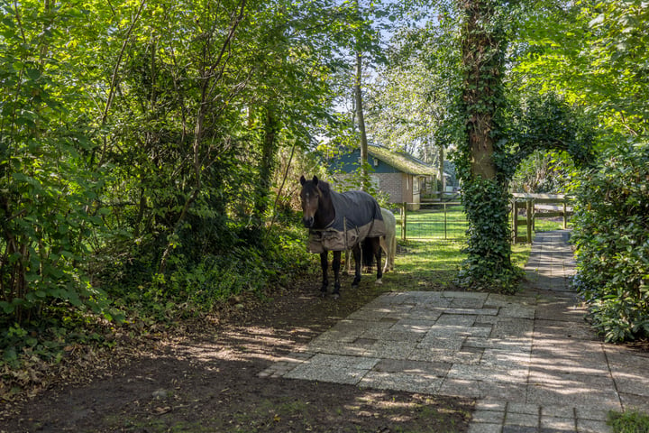 Bekijk foto 64 van Rijksstraatweg 46