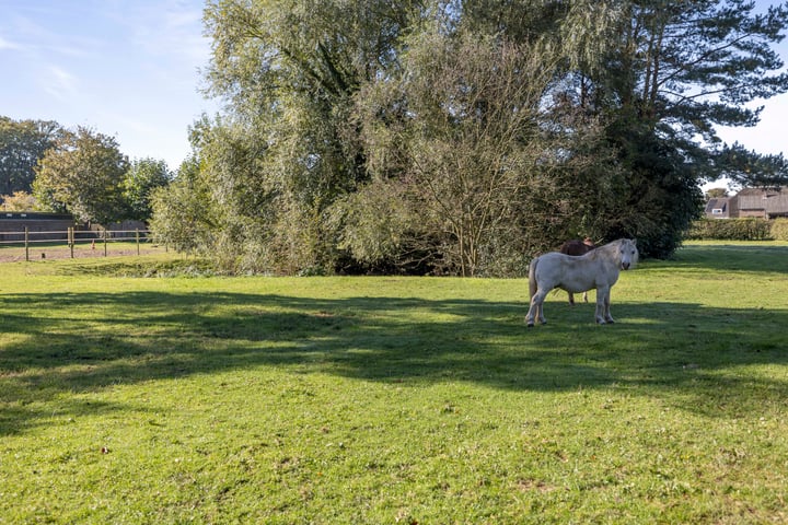 Bekijk foto 68 van Rijksstraatweg 46