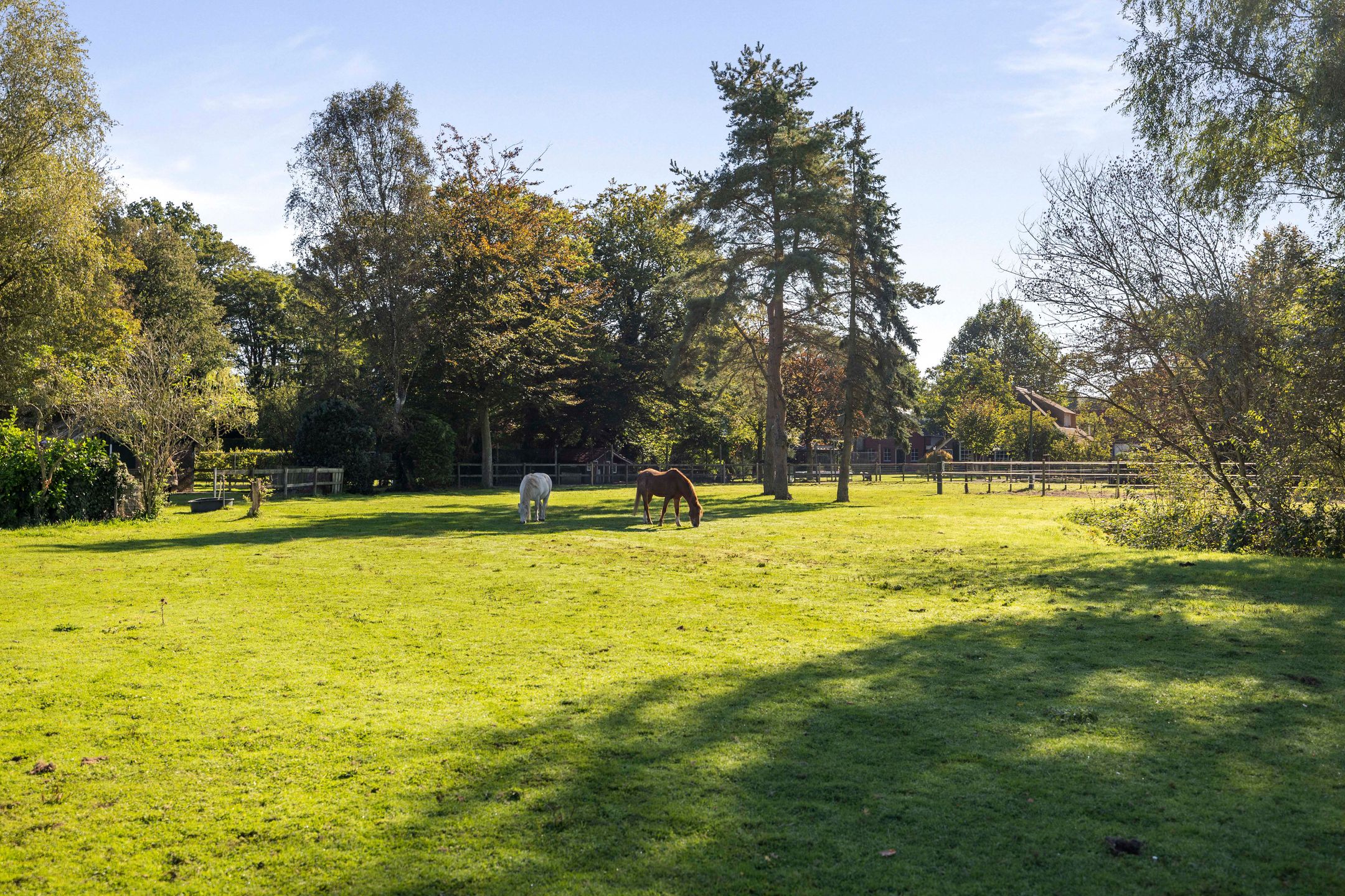 Foto 69 van Rijksstraatweg 46
