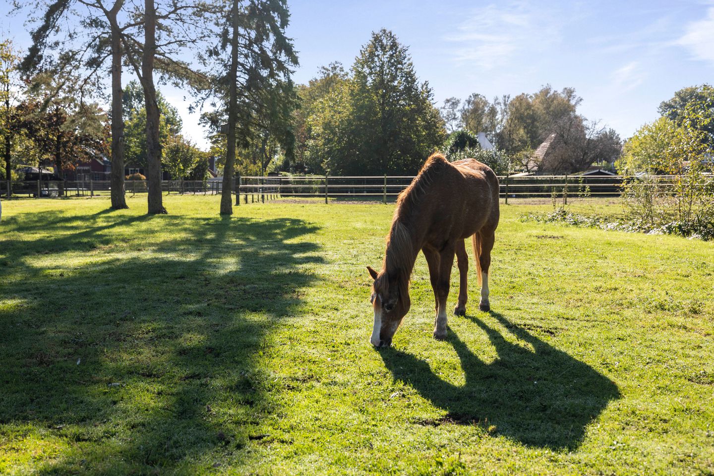 Foto 70 van Rijksstraatweg 46