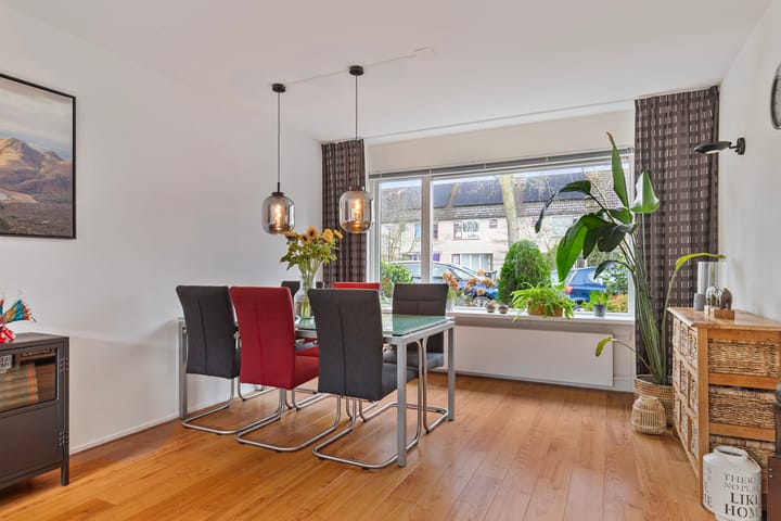 Foto 2 van Winterkoning 7