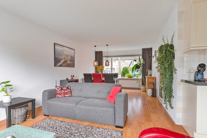 Foto 4 van Winterkoning 7