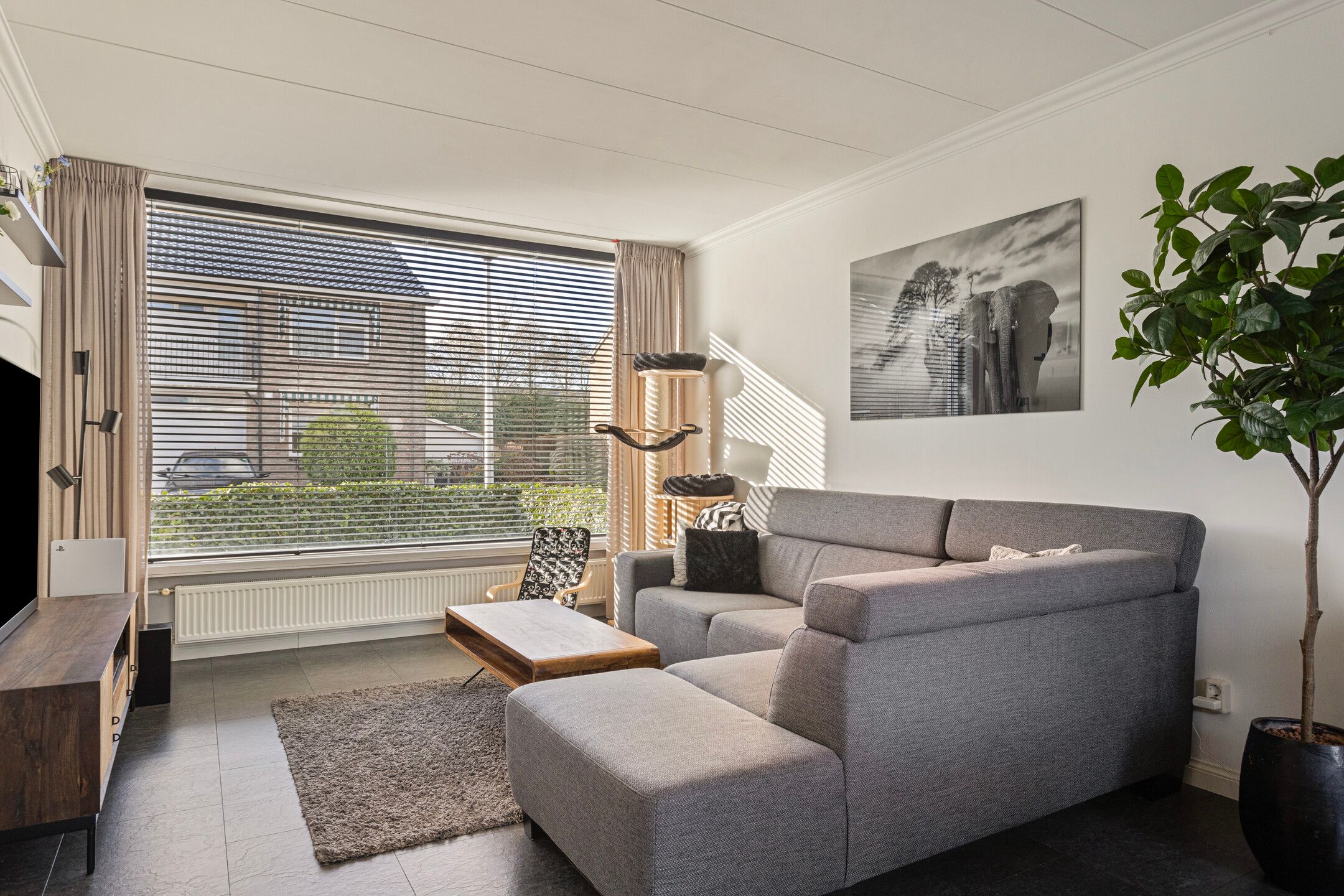 Foto 3 van Pieter de Hooghstraat 2