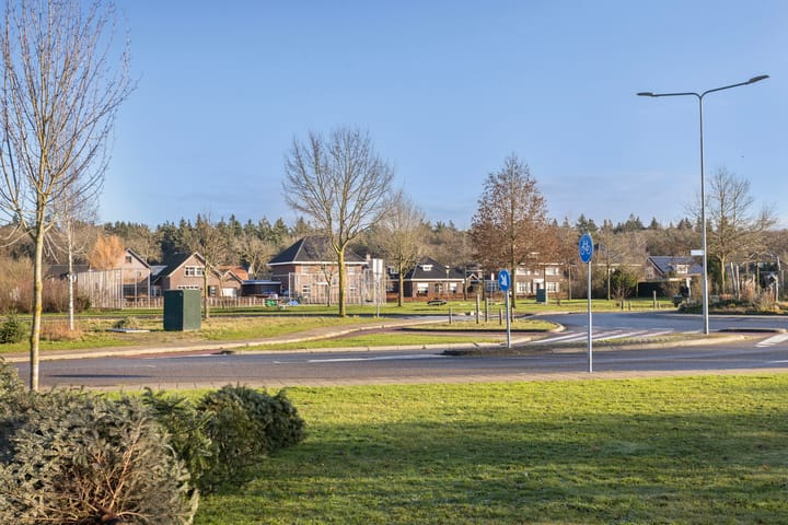 Foto 39 van Buizerdlaan 12