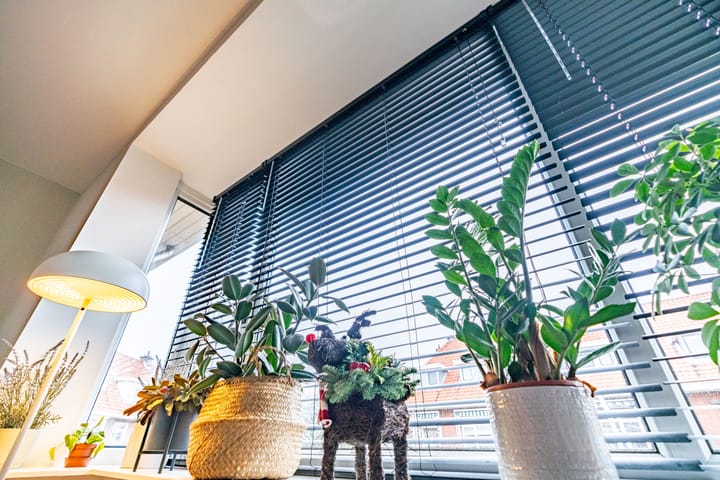 Foto 8 van Jacob Catsstraat 135