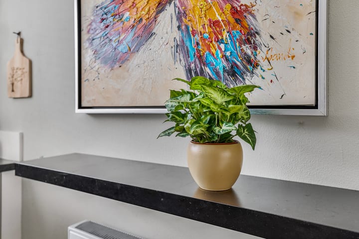 Foto 12 van Van Lingelaan 91