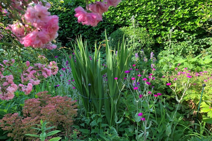 Foto 32 van Korianderveld 9