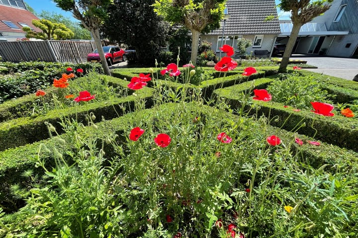 Foto 42 van Korianderveld 9