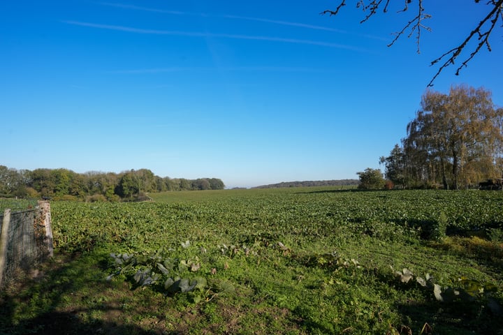 Bekijk foto 27 van Scheulderdorpsstraat 85