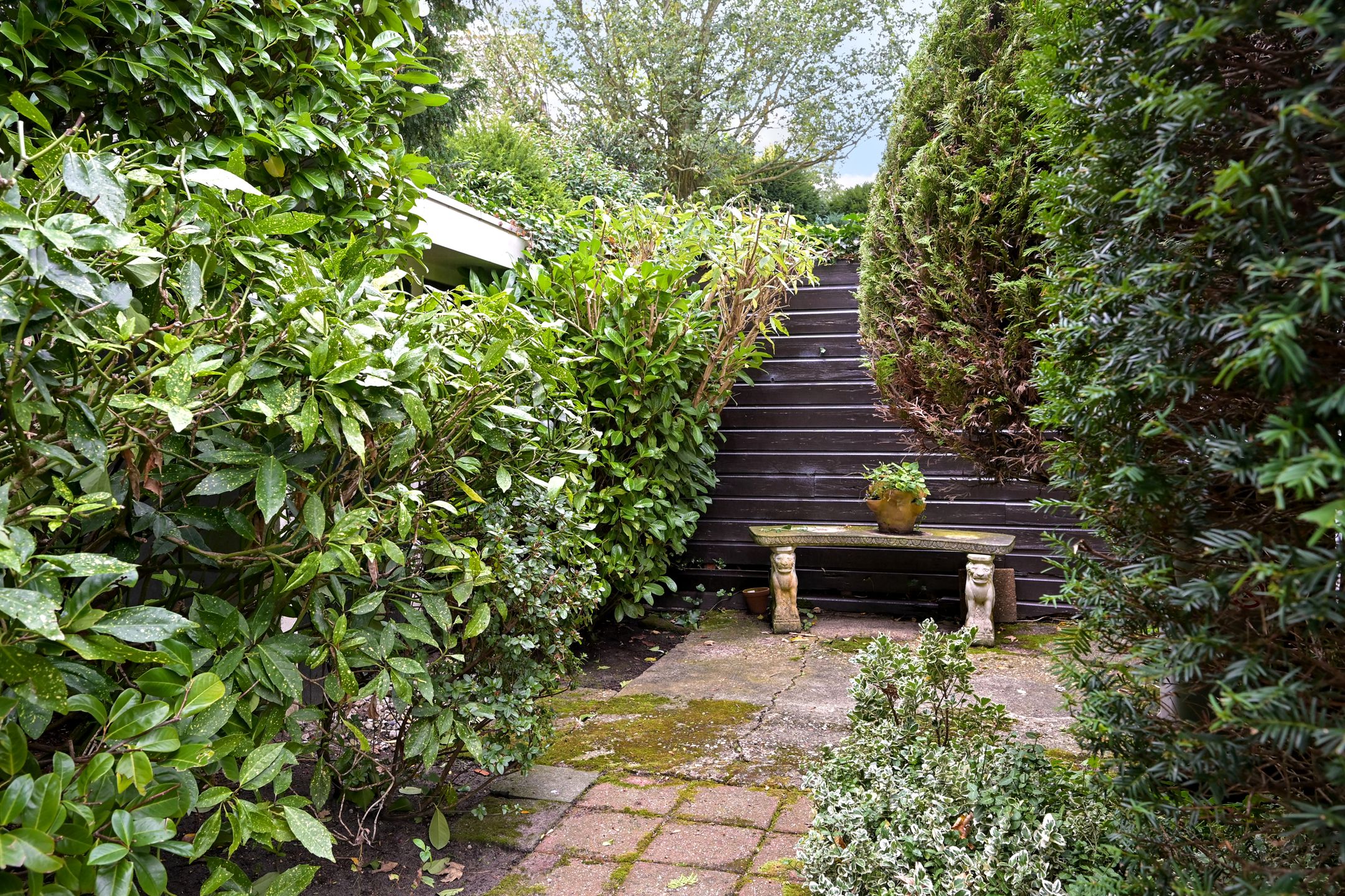 Photo 45 of Beukenhorstlaan 4