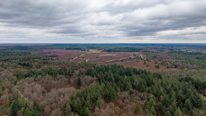 Foto 70 van Eekhoornweg 10