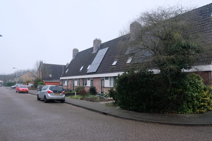 Foto 14 van Wilgenroos 12