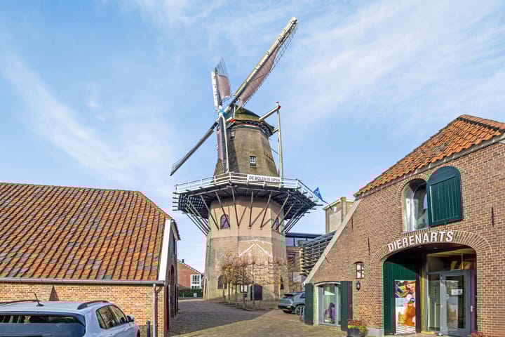 Foto 57 van Notaris van Puttenstraat 19